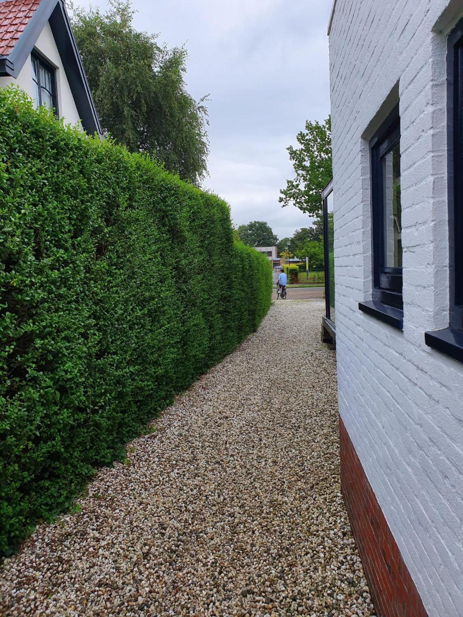 Zelfstandig Gastenverblijf In Het Groene Haren Nabij Groningen エクステリア 写真